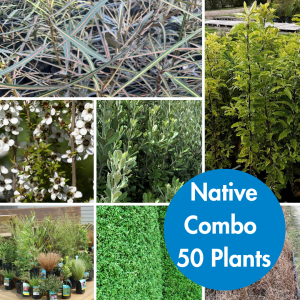 Native Combo 50 Plants